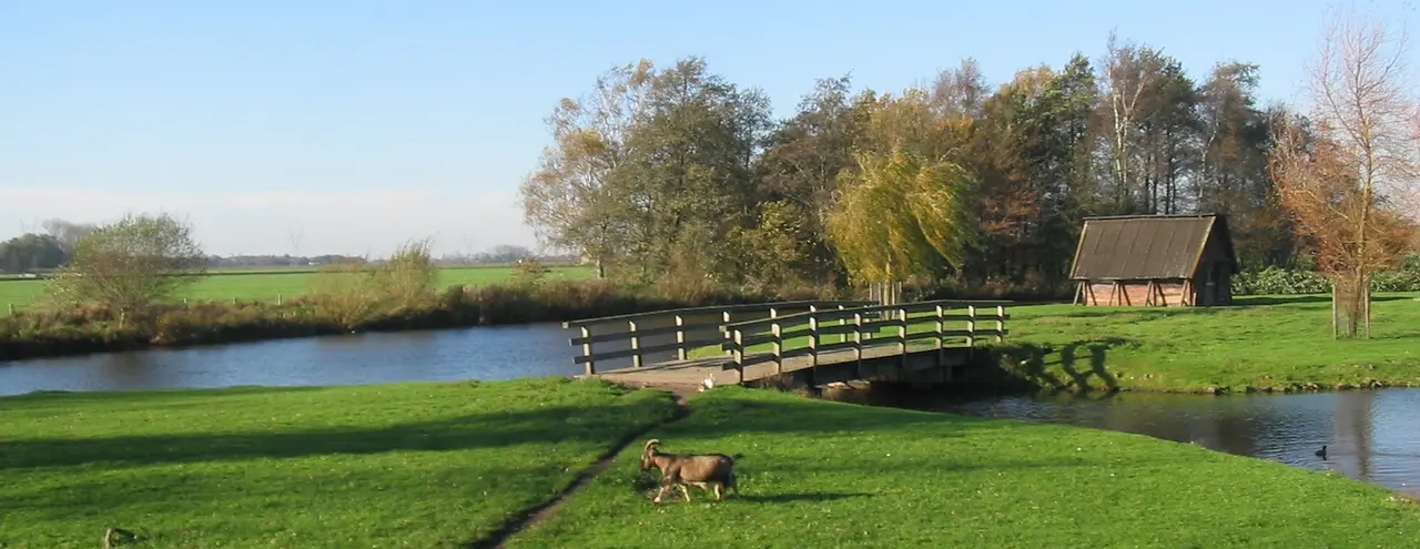 Hilversumse Meent, voormalige dierenweide