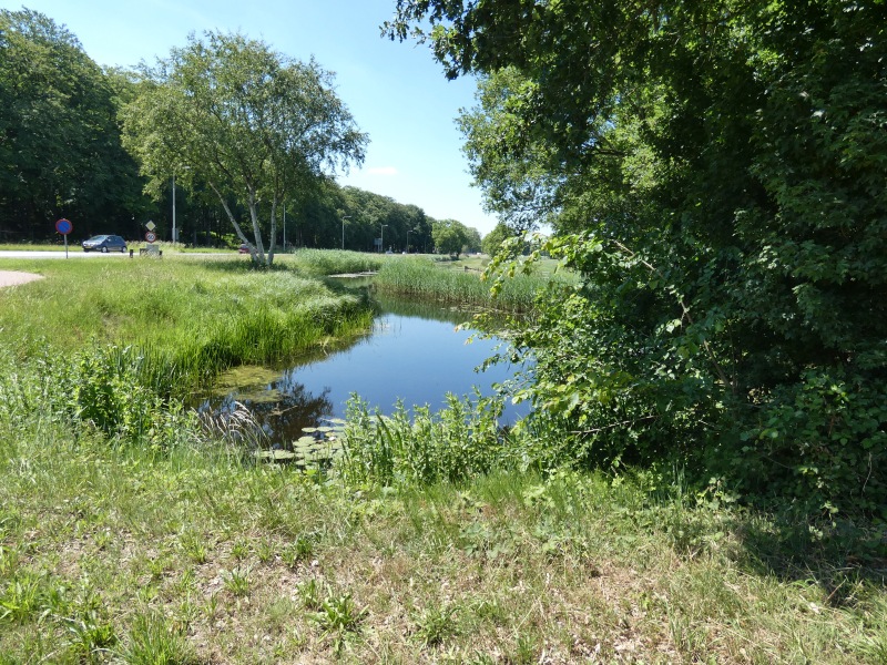 Hilversumse Meent, Luye Gat