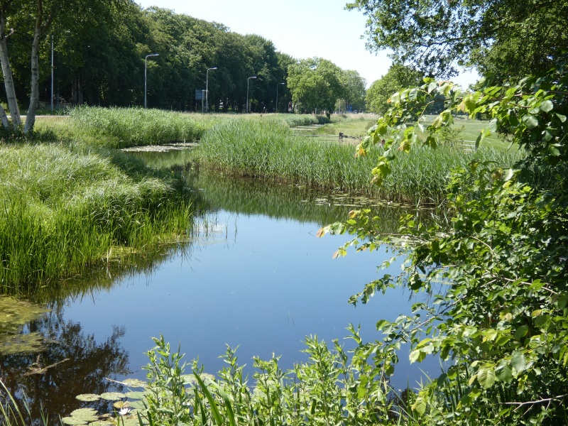 Hilversumse Meent, Luye Gat