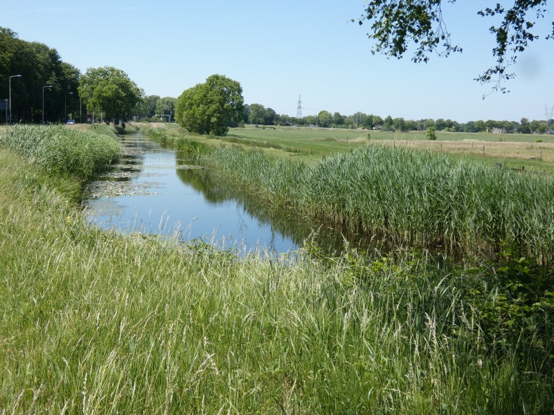 Hilversumse Meent, Luye Gat