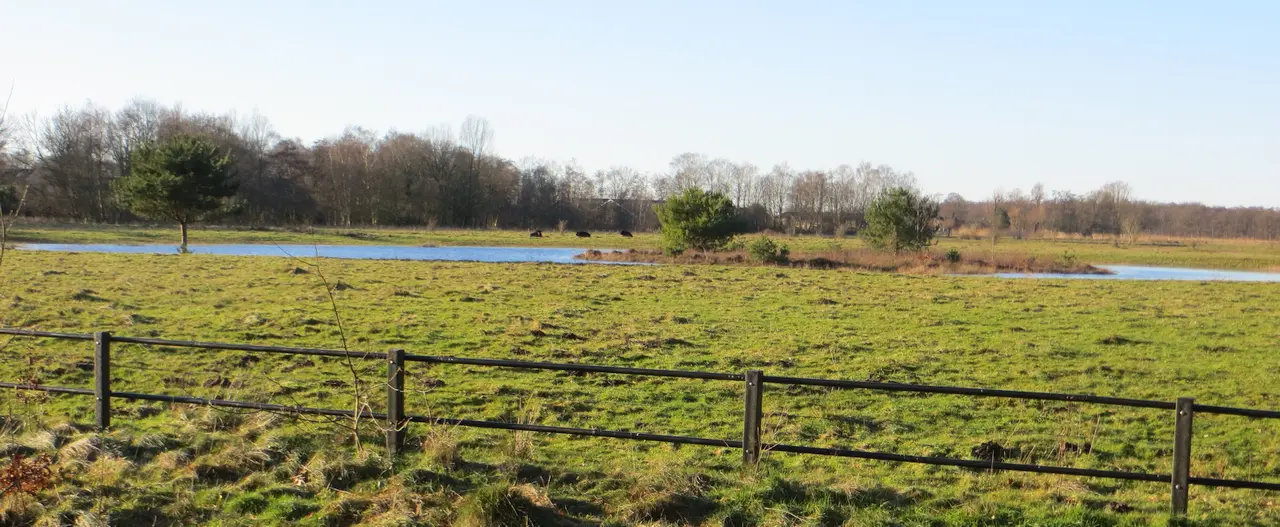 Hilversumse Meent, pannenkoekenfort